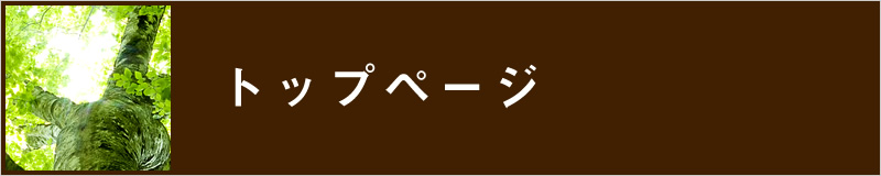 トップページへ